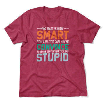 You Can Never Convince Someone Stupid That They Are Stupid Men/Unisex T-Shirt in Heather Raspberry color